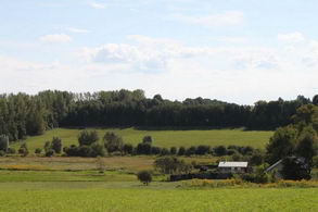 View from Hill - Country homes for sale and luxury real estate including horse farms and property in the Caledon and King City areas near Toronto